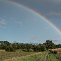 Regenbogen